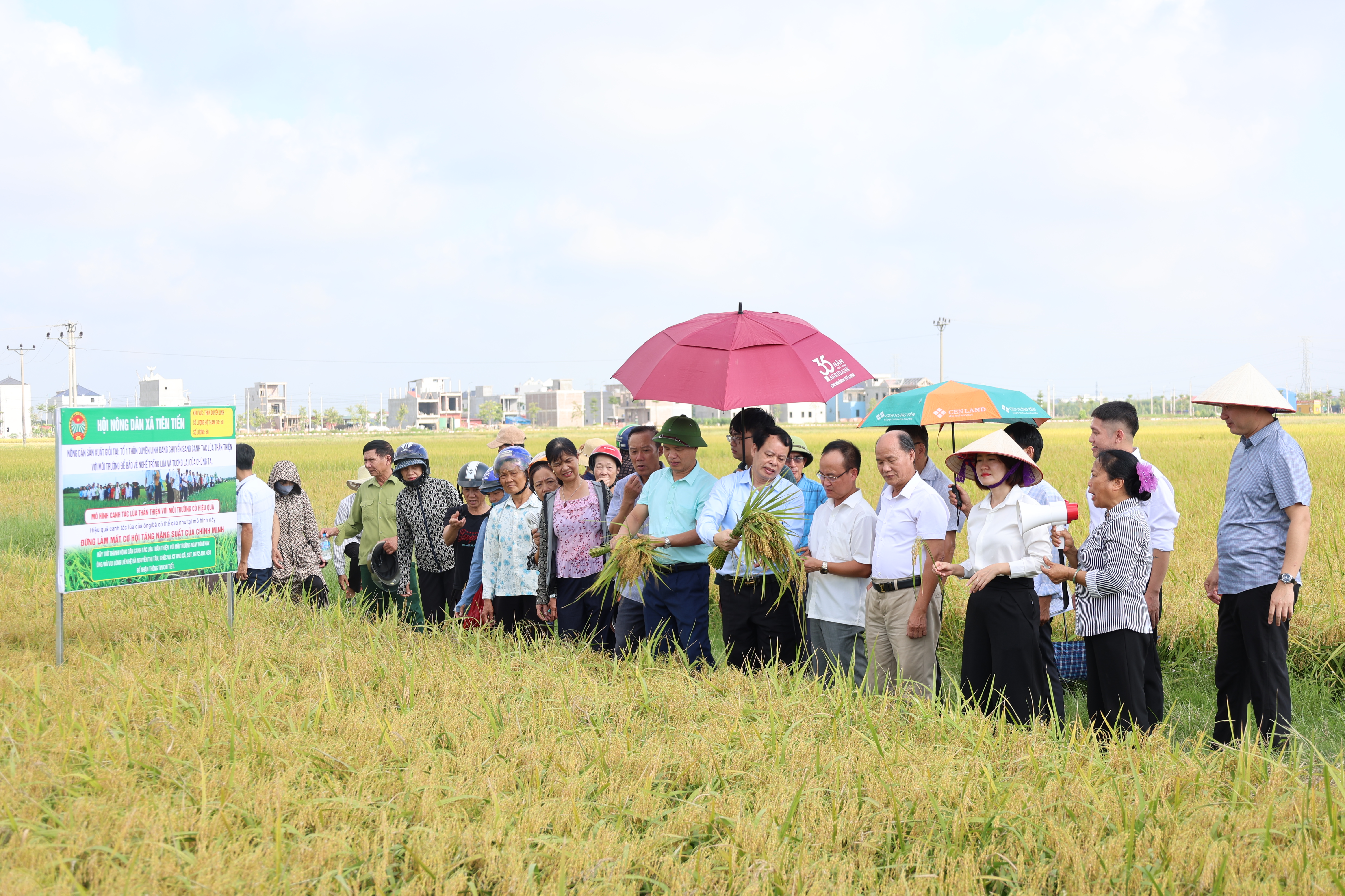 HỘI NGHỊ ĐẦU BỜ ĐÁNH GIÁ KẾT QUẢ MÔ HÌNH CANH TÁC LÚA THÂN THIỆN VỚI MÔI TRƯỜNG TẠI XÃ TIÊN TIẾN